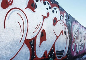 Tekno Anti-Graffiti Beschichtungen